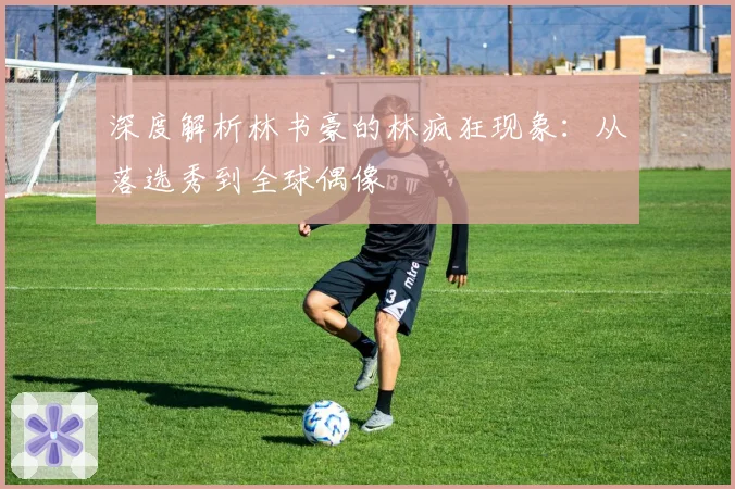 深度解析林书豪的林疯狂现象：从落选秀到全球偶像